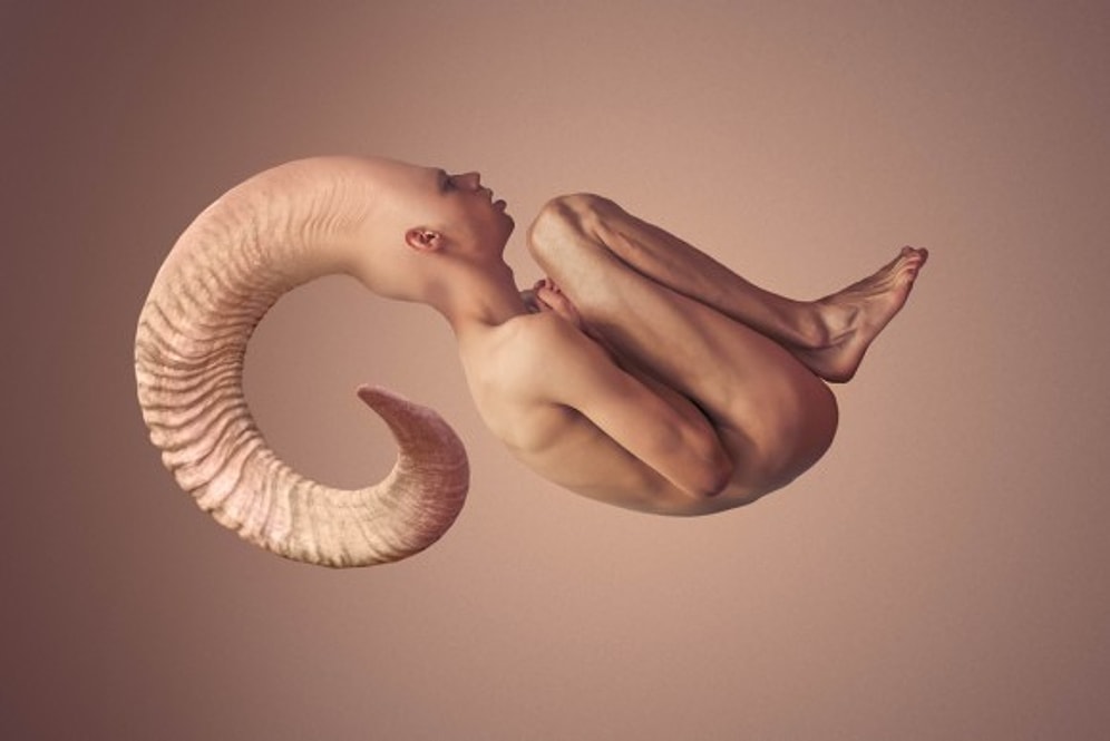 Zihninizi Açarken Bir Yandan İçinizi Gıcıklatması da Muhtemel 14 Manipülasyonlu Fotoğraf