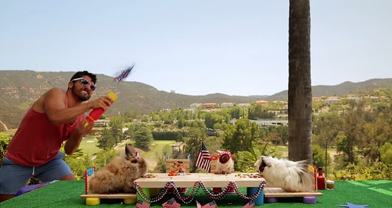 Minnoş Hamsterların Yiyebileceği Boyutta Minik Yemeklerle Barbekü Partileri