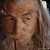 gri-gandalf