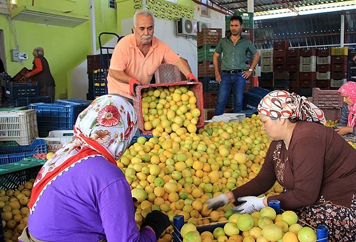 Haziranda En Çok Limonun Fiyatı Arttı