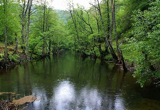 İstanbul'un Su Kaynağı Istranca'ya Bakır Madeni İzni