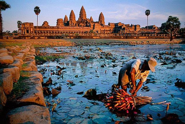 7. Lotus çiçeği toplayan bir adam, Kamboçya