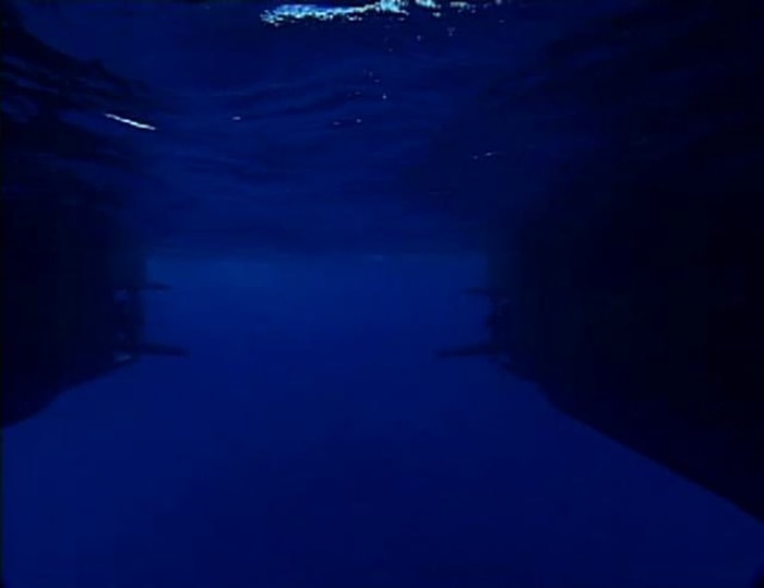 Dev Mürekkep Balığının Doğum Anı