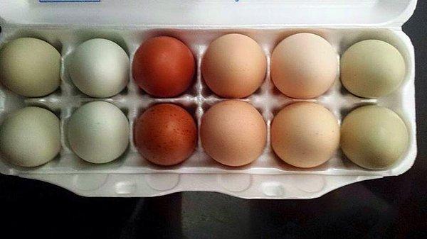 4. Mükemmel renkli çift yumurtalar