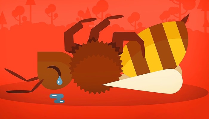 Arılar Yok Olursa Bize Ne Olacak?