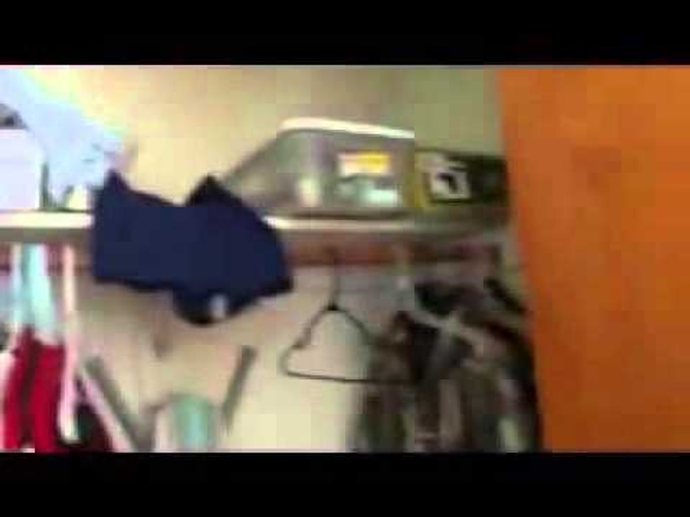 Peygamber Böceği ile Sinek Avlamak