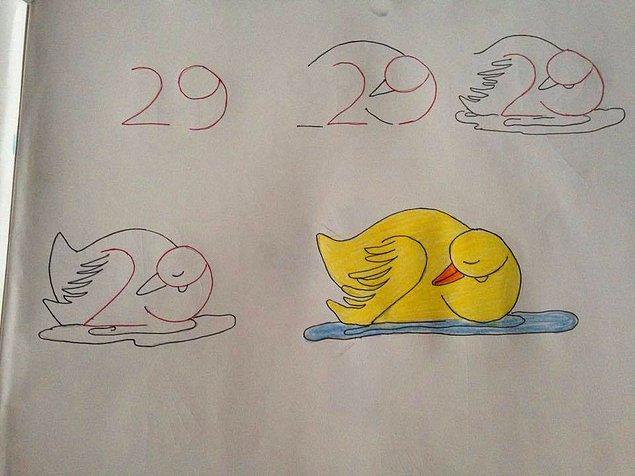 A sleeping duck with 29