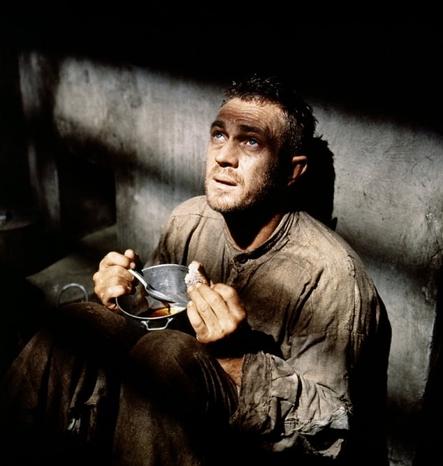 35. Papillon