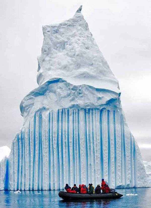 Antartikada başıboş yüzen bu buzul arkadaş Norveç araştırma ekibine yakalandı.