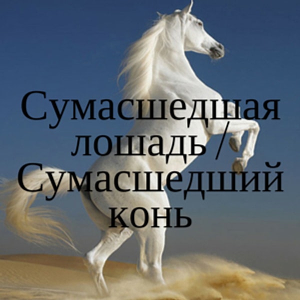 Сумасшедшая лошадь/Сумасшедший конь
