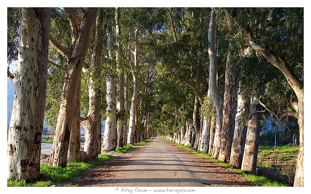 12. Eski Marmaris Yolu