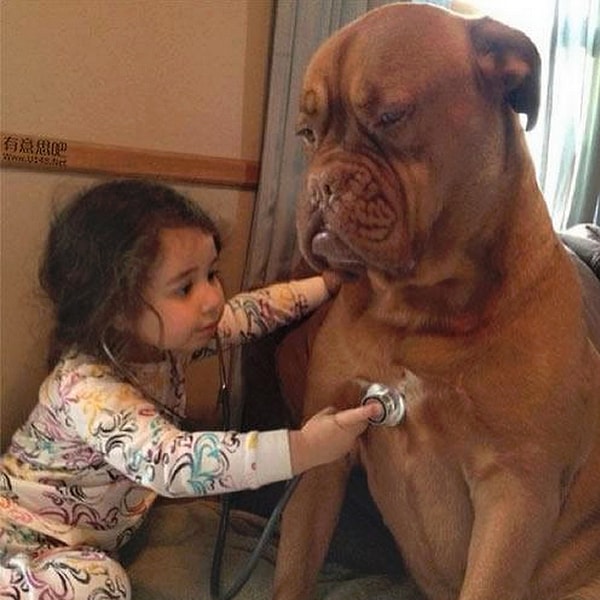 2. Сыграет роль пациента, если ваш ребенок вдруг решит стать доктором.