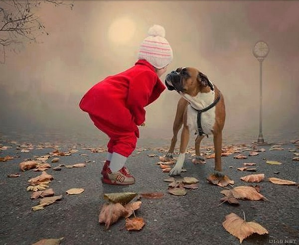 13. Это идеальный друг для вашего ребенка.