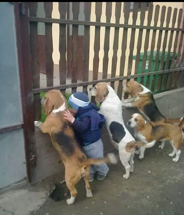 15. В любой разборке будут рядом.