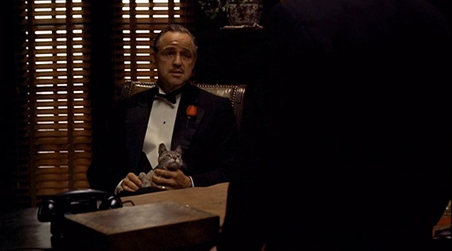 Filmin ilk sahnesinde Vito Corleone'nin kucağında oturan kedi orijinal senaryoda bulunmamaktadır. Marlon Brando sinema tarihinin en meşhur kedisini sokakta bulmuş, aktörü sürekli tırmalaması yüzünden çekimler aksamıştır.