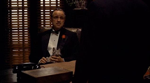 7. Filmin ilk sahnesinde Vito Corleone'nin kucağında oturan kedi orijinal senaryoda bulunmamaktadır. Marlon Brando sinema tarihinin en meşhur kedisini sokakta bulmuş, aktörü sürekli tırmalaması yüzünden çekimler aksamıştır.