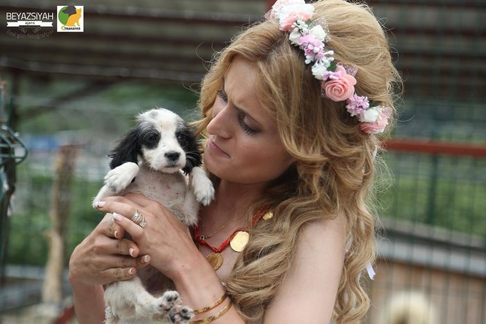 Düğün Fotoğraflarını Barınakta Çektiren Yeni Evli Çift