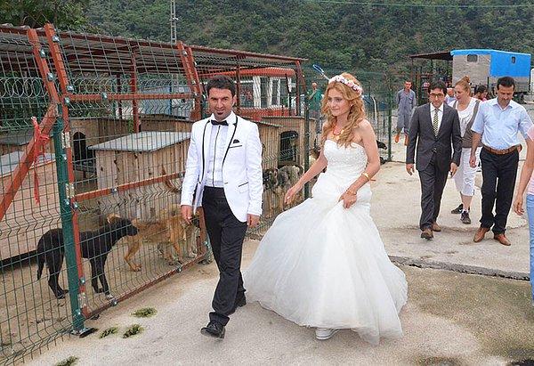 3. Trabzon'da evlenen Gülcan ve Nesullah Sonay çifti, Türkiye'de bir ilki gerçekleştirerek evlilik fotoğraflarında bir hayvan barınağındaki sahipsiz hayvanlarla poz vermeye karar verdiler.