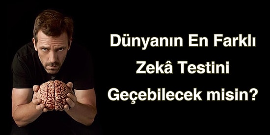 Dünyanın En Farklı Zeka Testinden Geçebilecek misin?