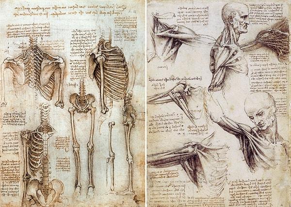 5. Da Vinci anatomi konusunda yapmış olduğu çalışmalar sırasında dikkat çekmemek için genellikle gece çalışmayı tercih edermiş.