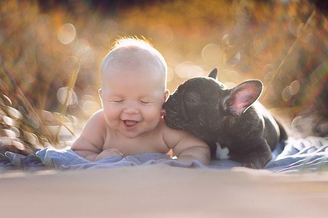 Dünyanın En Şirin Kardeşleri: Aynı Gün Doğup Birbirlerini Kardeş Sanan Bebek ve Köpek