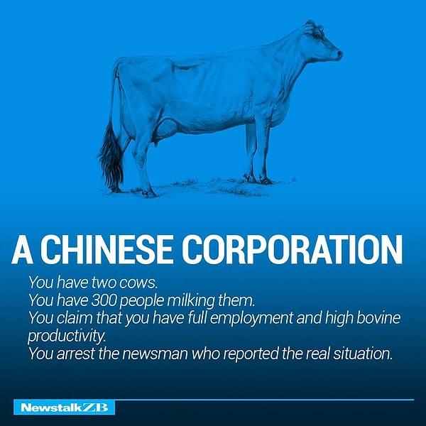 12. Bir Çin şirketi