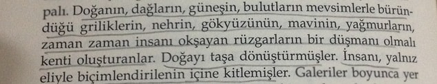 14. ''Doğayı taşa dönüştürmüşler''.