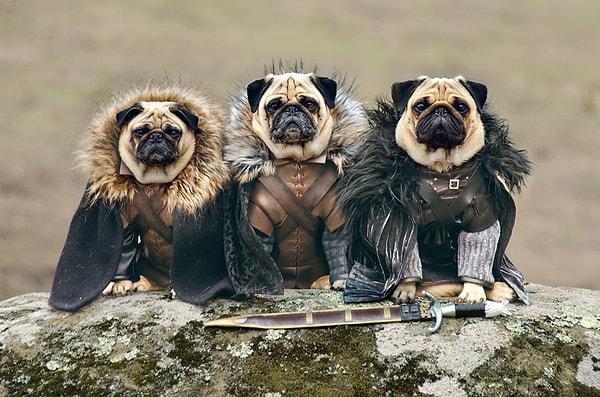 Rob Stark, Ned Stark ve Jon Snow.