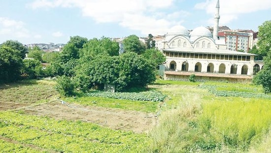 Tarihi Bostana Otopark İnşaatına Durdurma