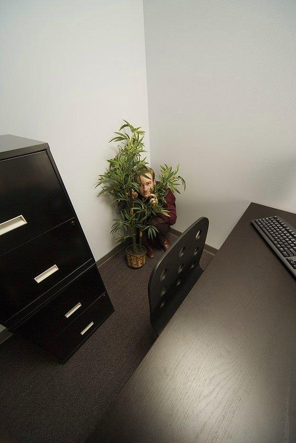 4. Küçük ofis ağacını kontrol ettiniz mi?