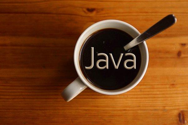 14. Java’yı tarayıcınızdan çıkartın, hiç olmadı kurulumunu kaldırın.