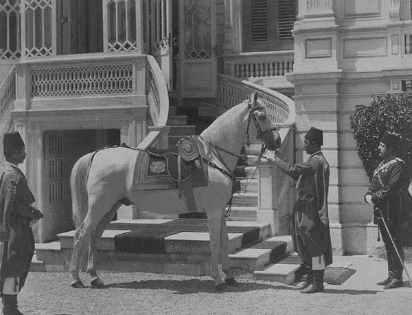 Sultan'ın hayvan sevgisi, atlara olan ilgisi ile meşhurdur.