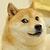 dogedoge