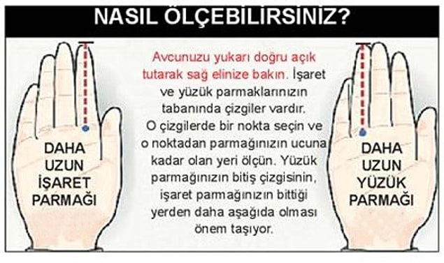 17. Yüzük parmağının işaret parmağıyla orantısı, anne karnında alınan testosteron ile alakalıdır diye bir tez vardır.