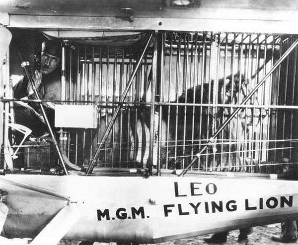 1927 yılında içinde pilot dışında sadece Aslan Leo bulunan MGM uçağı Arizona Çölü üzerindeyken düşmüştür.