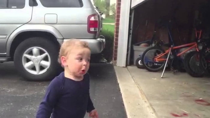 Garajın Kapısının Açıldığını Aklı Hayali Almayan Tatlı Minnakın Süper Sevimli Tepkisi