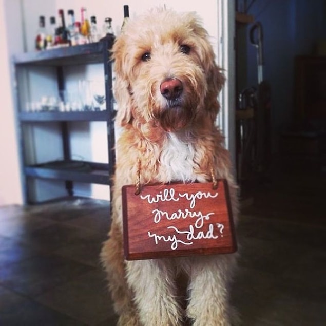 3. How could you say no to this? ^^