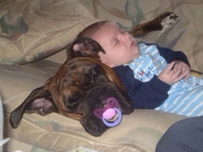 Çocukların Yeryüzündeki En İyi Arkadaşlarının Köpekler Olduğunun 17 Karede İspatı