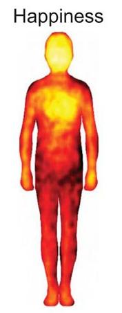 4. Bu paylaşılan görsellerdeki hissiyat haritalarını, vücut sıcaklık haritalarına, dolayısıyla vücudun çeşitli duygular karşısındaki kan dağılımının değişimini gösteren haritalara benzetebiliriz.