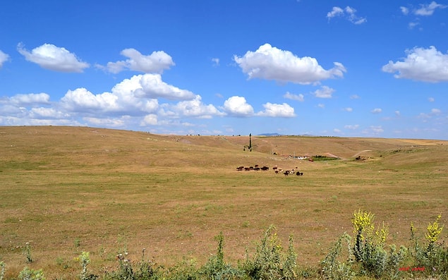 14) Yozgat, Bayburt, Bilecik