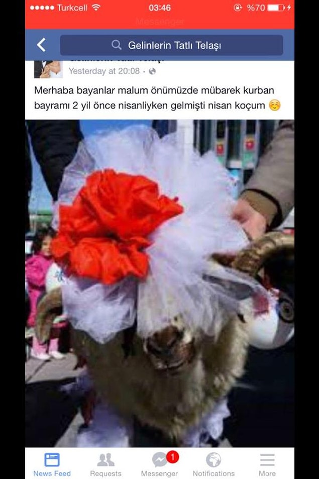 1. Grup sayfasında sıradan bir gün...