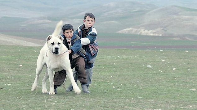 22. Sivas (2015) | IMDb Puanı: 7,6