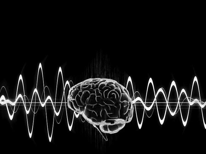 Bilim İnsanları Ses Dalgalarıyla Beyni Kontrol Etti