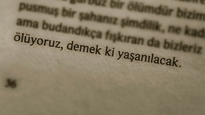 Hafızalarda Yer Edinmiş 18 Dizesi İle Büyük Şair İsmet Özel