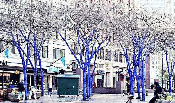 Avustralyalı artist Konstantin Dimopoulos'in ''The Blue Trees'' adlı çalışması