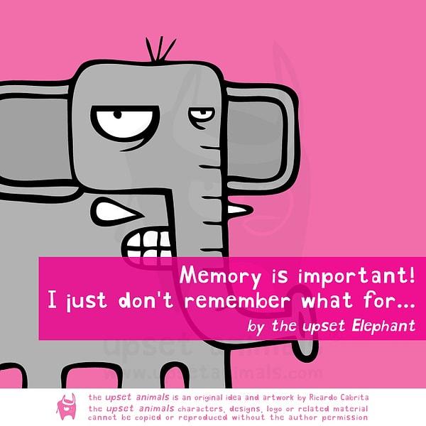 #3 Hafıza önemlidir. Fakat ne için önemli olduğunu hatırlayamadım.