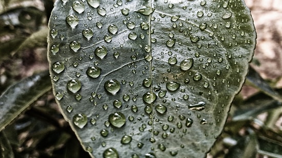 Telefonla Çekildiğine İnanamayacağınız 10 Muhteşem Fotoğraf