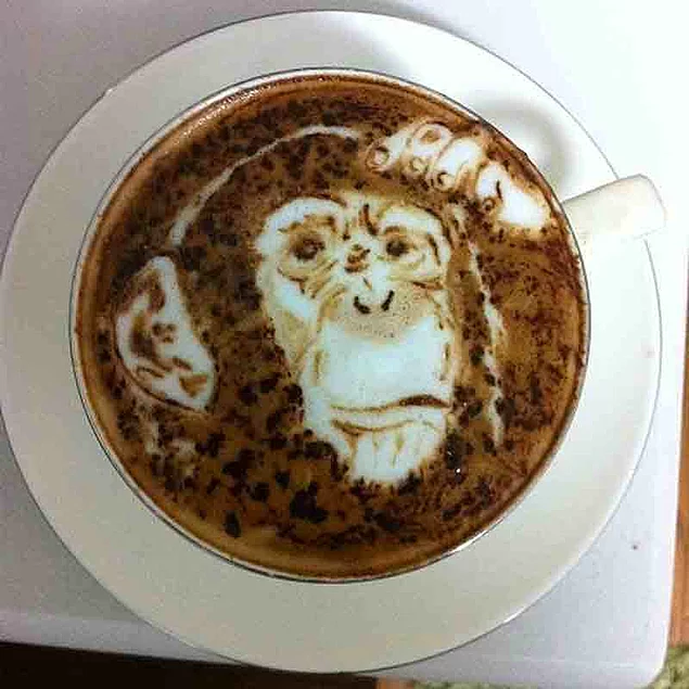 Bir maymun çizebilirsiniz kahvenize, işini başarıyla yapan ressam edasıyla.