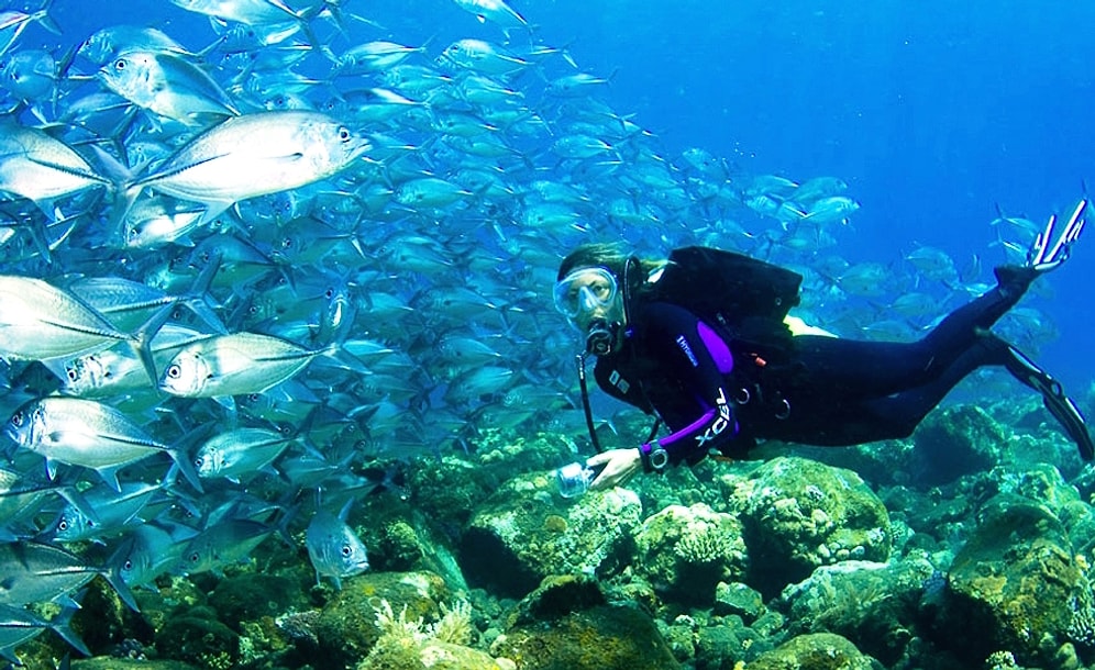 Aşkım "Ölmeden Önce Yapılacaklar Listesi" Hazırlıyorum İlk Sıraya Avustralya Yazdım