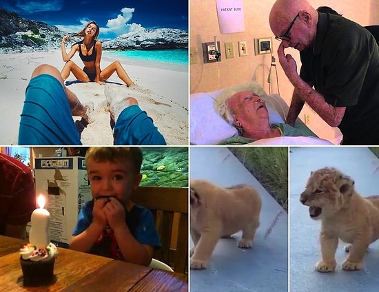 7 видео прошлой недели, которые просто необходимо посмотреть